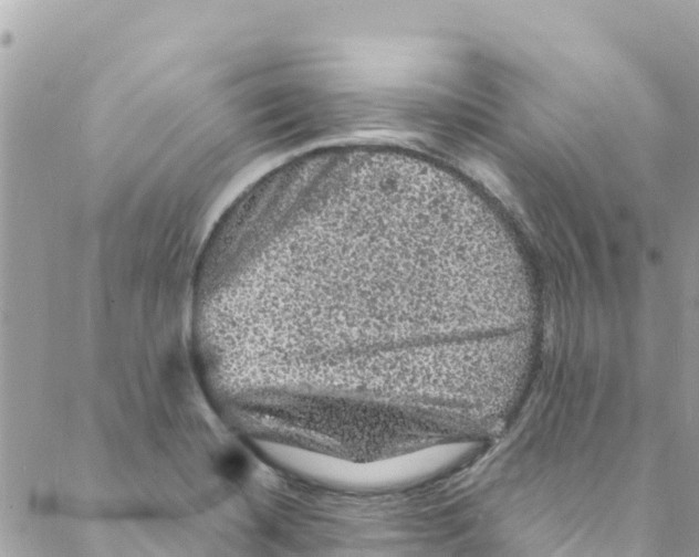 X0000088031420200706011338