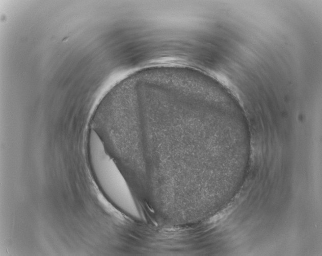 X0000088031421200706011338