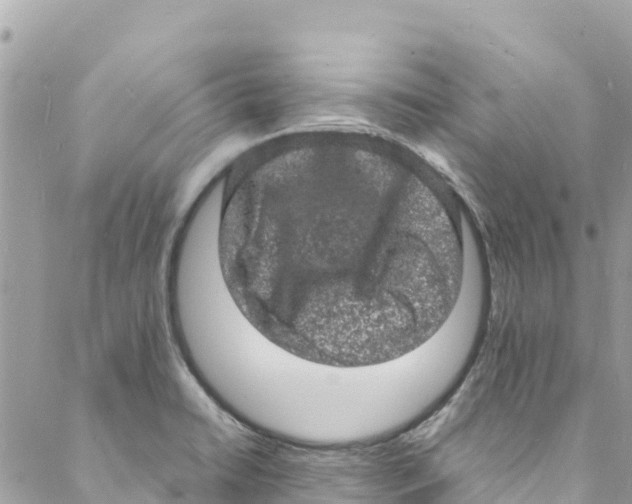 X0000088031422200706011338