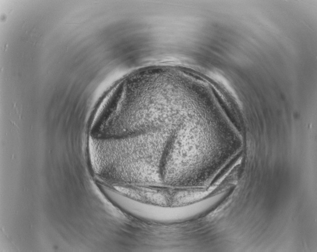 X0000088031424200706011338