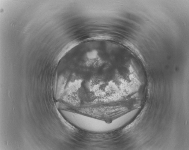 X0000088031425200706011338