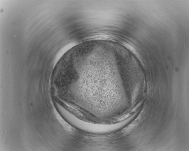 X0000088031426200706011338