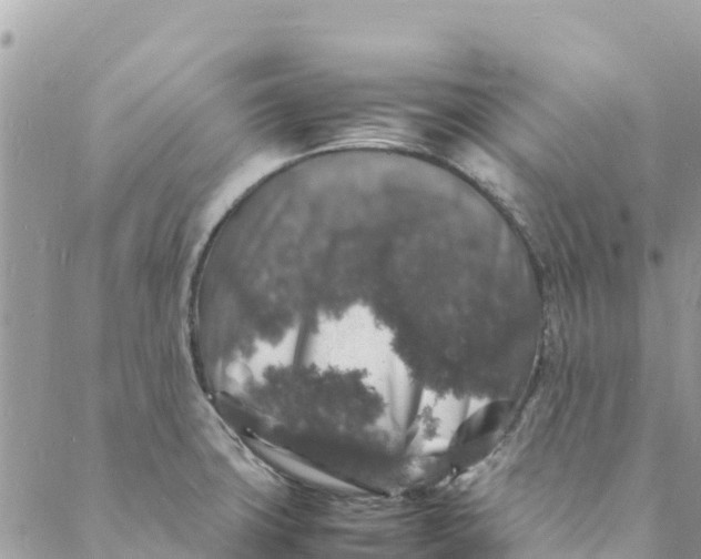 X0000088031427200706011338