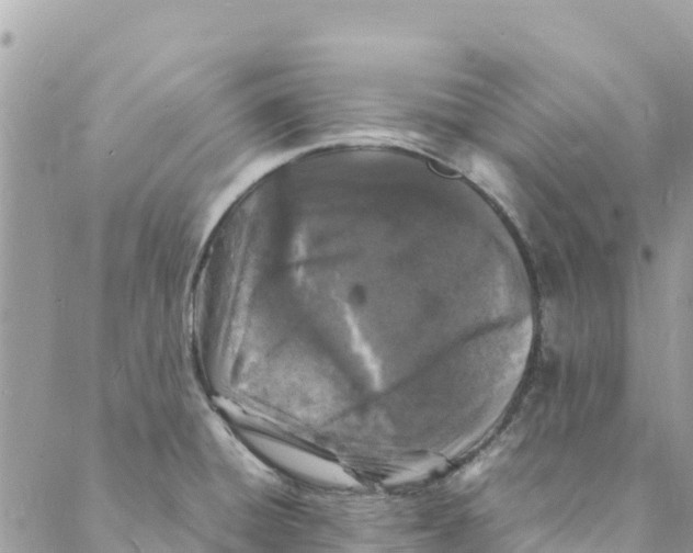 X0000088031428200706011338