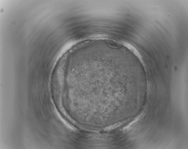 X0000088031429200706011338