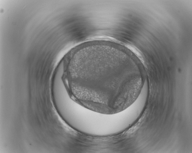 X0000088031430200706011338