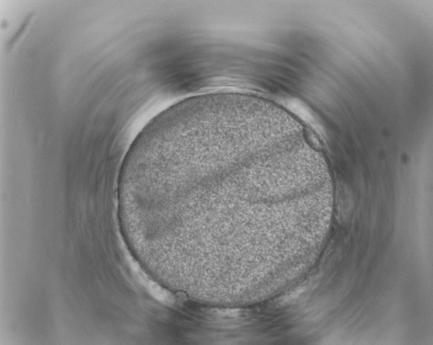 X0000088031431200706011338