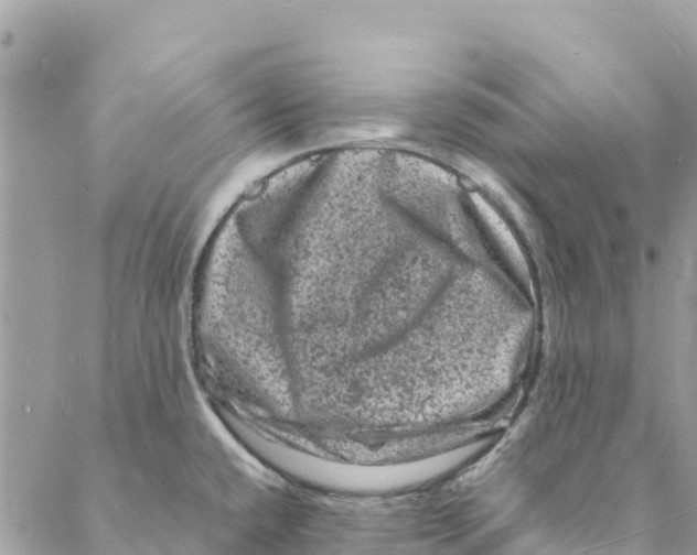 X0000088031432200706011338