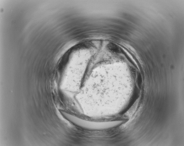 X0000088031433200706011338