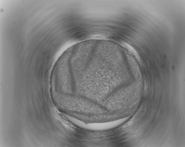 X0000088031435200706011338