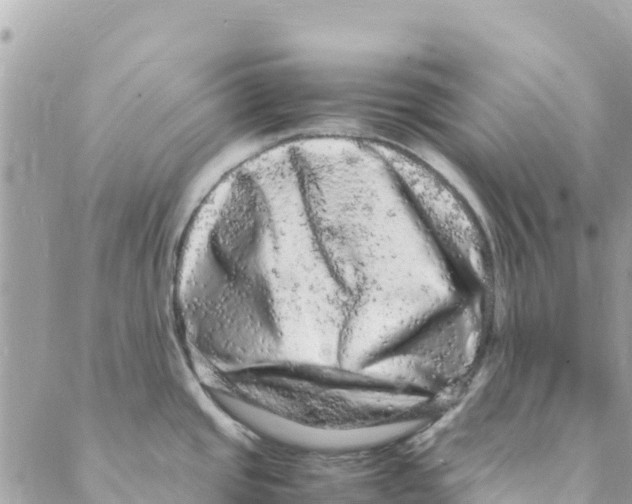 X0000088031437200706011338