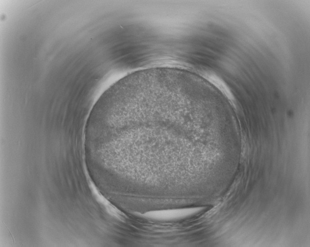 X0000088031439200706011338