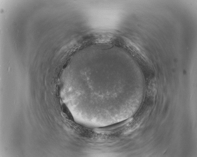 X0000088031441200706011338