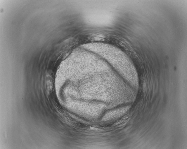 X0000088031442200706011338