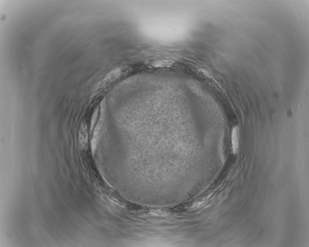 X0000088031443200706011338