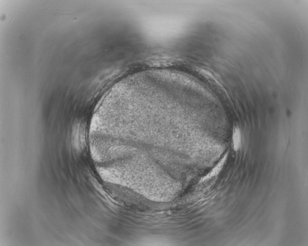 X0000088031444200706011338