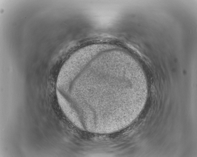 X0000088031447200706011338