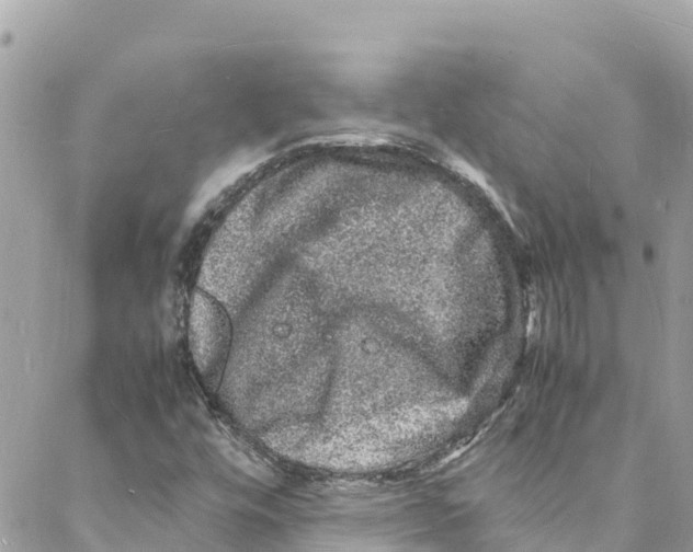 X0000088031448200706011338