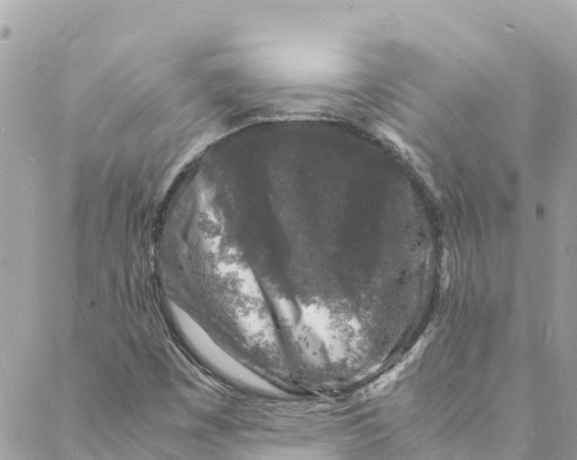 X0000088031449200706011338