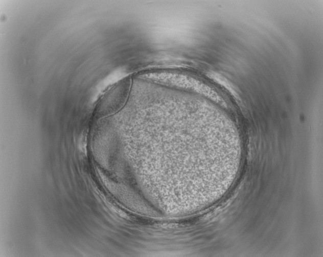 X0000088031451200706011337