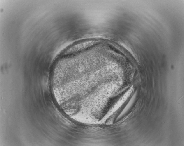 X0000088031452200706011337