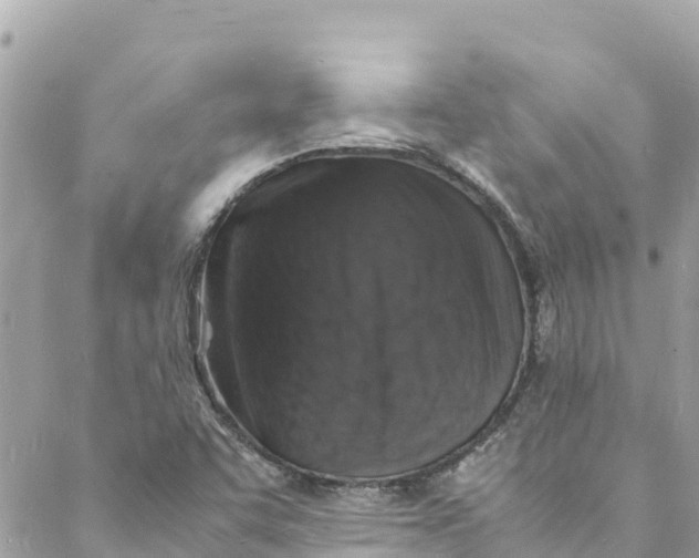 X0000088031455200706011337