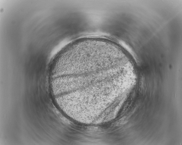 X0000088031456200706011337