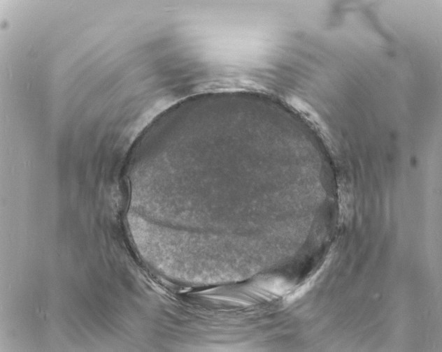 X0000088031457200706011337