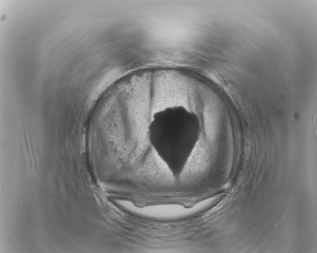 X0000088031459200706011337