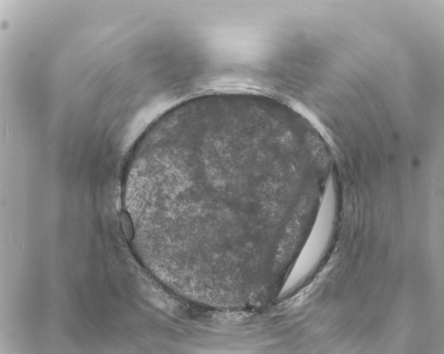 X0000088031461200706011337