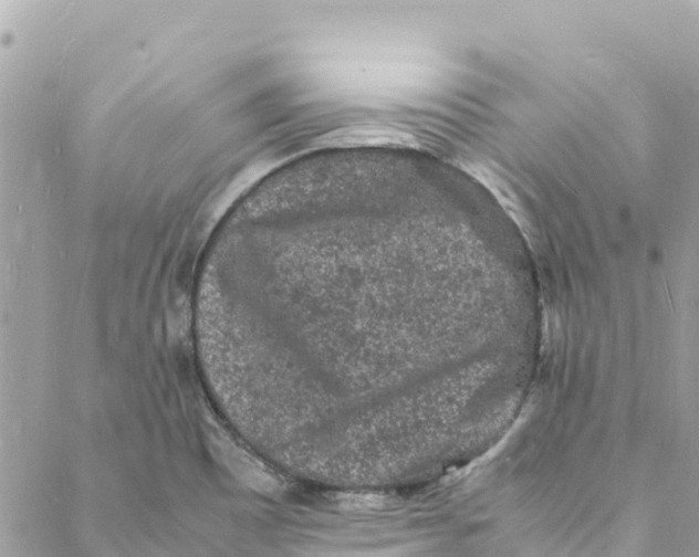 X0000088031465200706011337