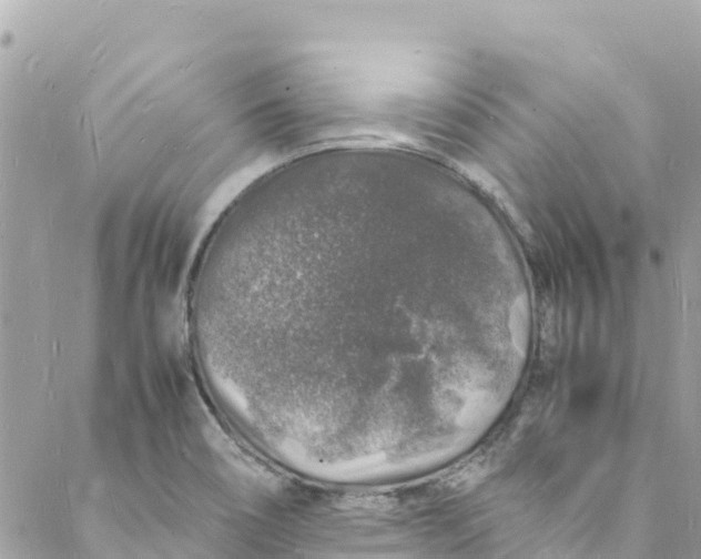 X0000088031466200706011337