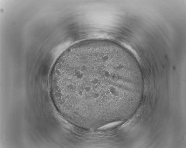 X0000088031467200706011337