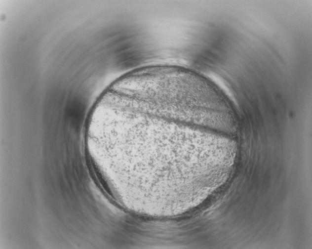 X0000088031468200706011337