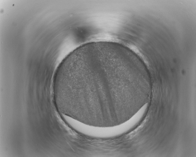 X0000088031469200706011337