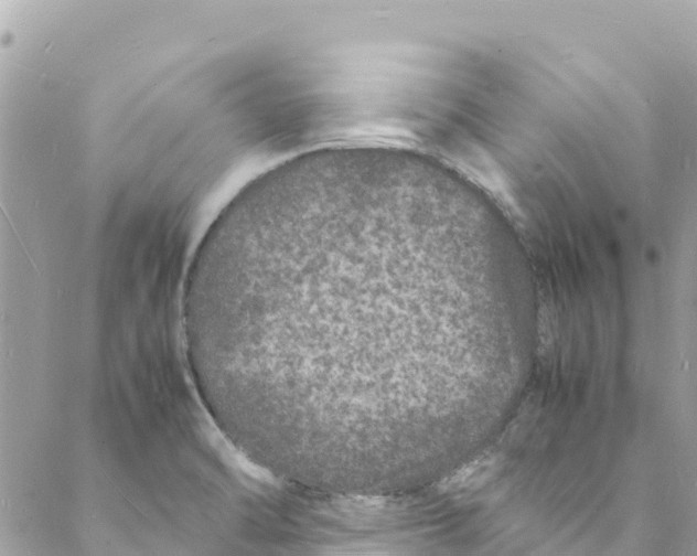 X0000088031470200706011337