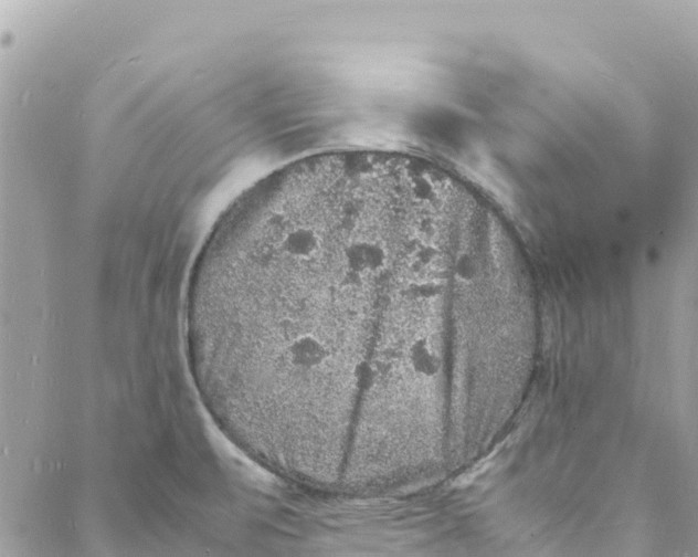 X0000088031471200706011337