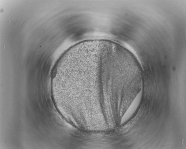 X0000088031472200706011337