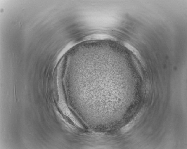 X0000088031473200706011337