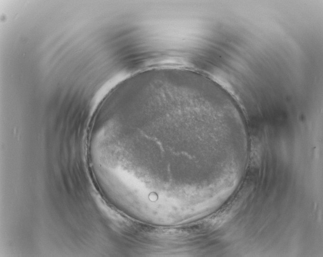 X0000088031474200706011337