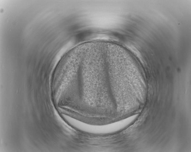 X0000088031475200706011337