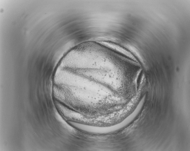 X0000088031476200706011337