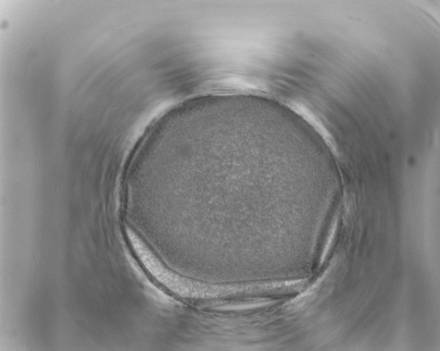 X0000088031477200706011337