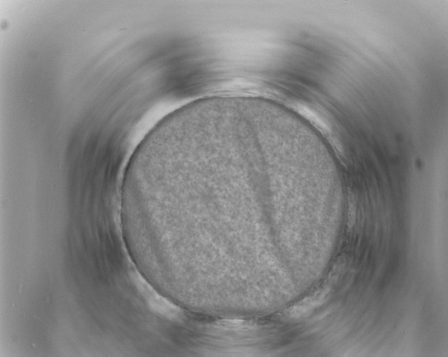 X0000088031478200706011337