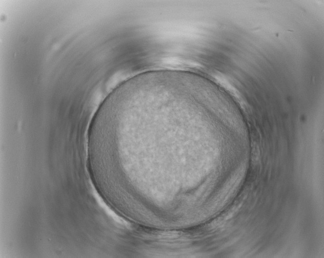 X0000088031479200706011337