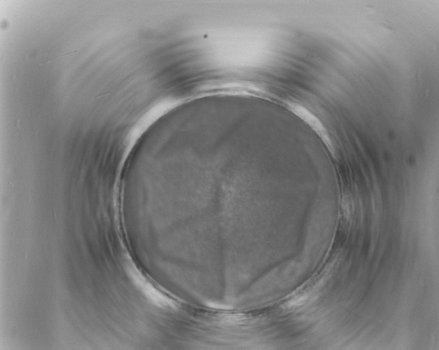 X0000088031482200706011337