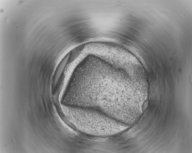 X0000088031484200706011337