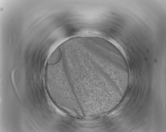 X0000088031486200706011337