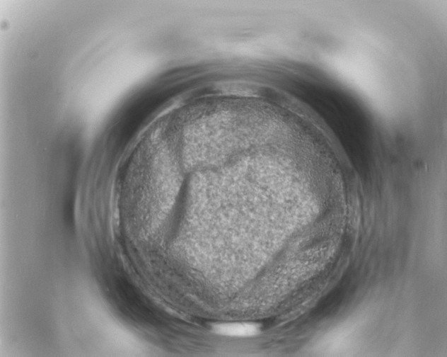 X0000088031487200706011337