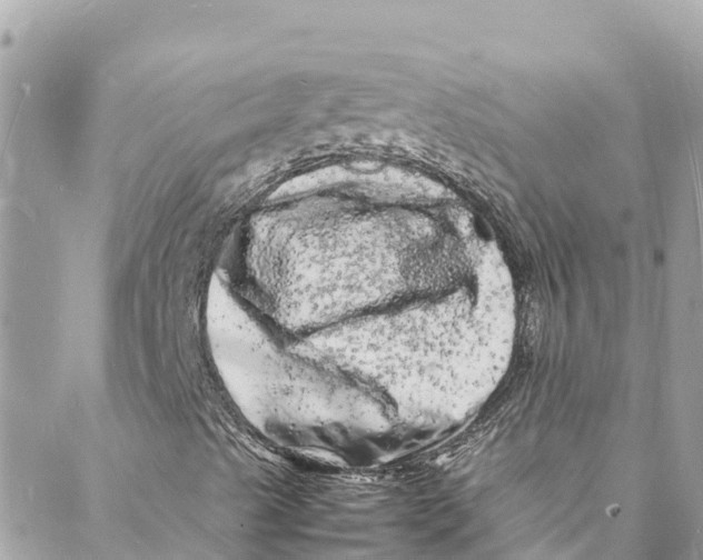 X0000088031489200706011336